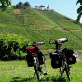 1907G 055 Mosel und Rhein